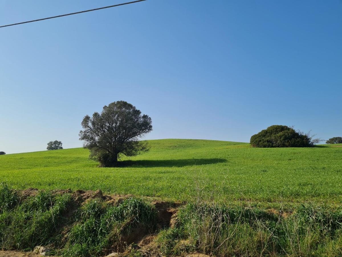 Вилла Agriturismo Buonavista - Parco Della Maremma Альберезе Экстерьер фото